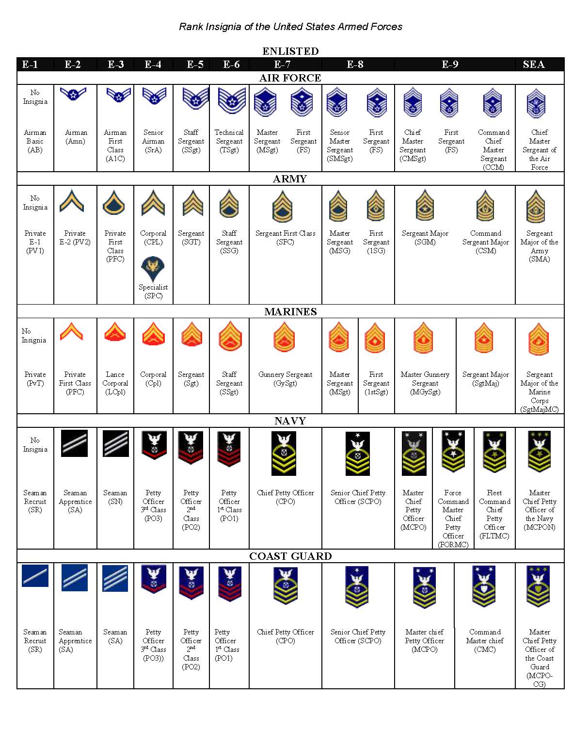 AFH 1 Enlisted Promotion Study Guides